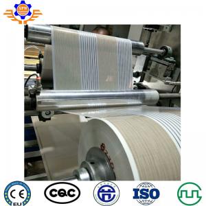 China PVC Plastic Profile Ceiling Panel Production Equipment Extrusion Line on sale