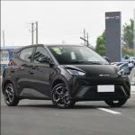 Byd Seagull 2024 The Perfect Combination of Performance and Style for Chinese