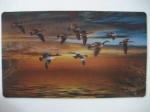 Printed Door Mats,Rubber door mat,Printed rubber mat