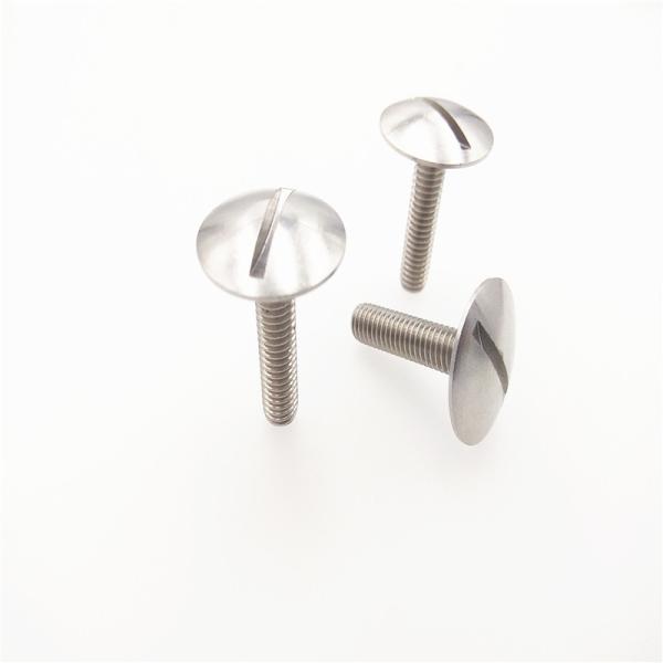Stainless Steel Extra-Wide Truss Head Slotted Screws GB947 Big Truss Head