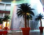 Washington Coconut Artificial Landscape Trees Hotel Restaurant Anti UV Long