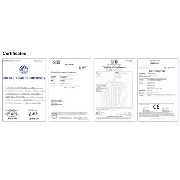 Industrial Scale Wireless 200kg to 600kg Bench Scale with LED/LCD Display and Floor Weighing Function
