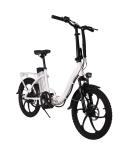 36V Electric Folding Bike 250W Rear Hub Motor Electric Bike 30-50Km/h Max Speed