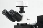 Optical Compound Inverted Light Microscope 200 X 140mm Stage