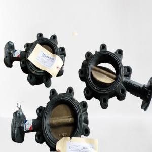 Wholesale Seatrax Bearing Bush Tf8004-1 from china suppliers