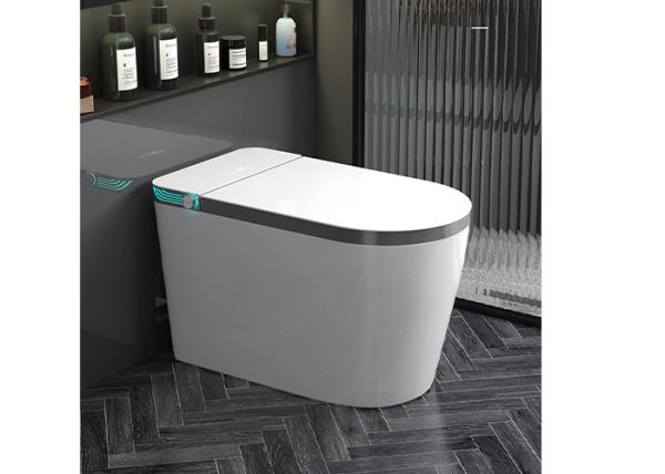 Automatic Sanitary Ware Items , Black Bathroom Wc Intelligent Ceramic Toilet