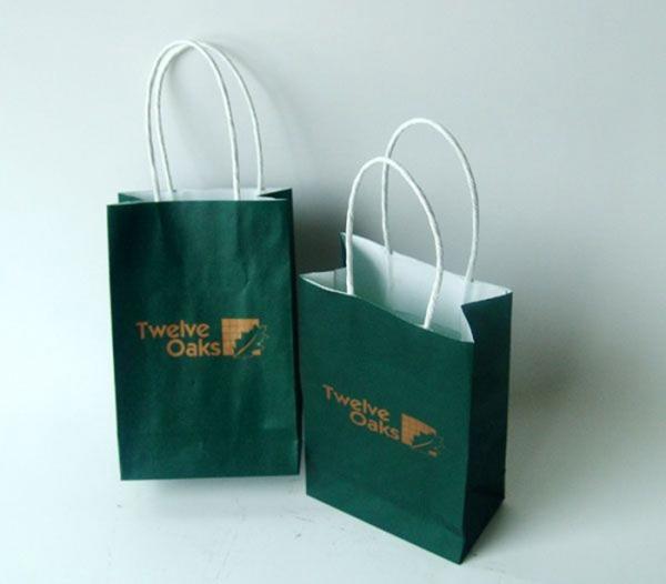 White Kraft Paper Custom Printed Paper Shopping Bags Recyclable , CMYK / PMS