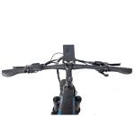 1000W Central Motor Electric Mountain Bike with Carbon Fiber Frame and Power