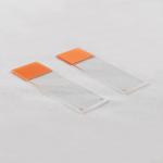 ISO CE FDS Prepared Orange Microscope Slides Cover Slips