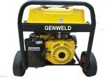 WDF-250 250A Petrol Welder Generator