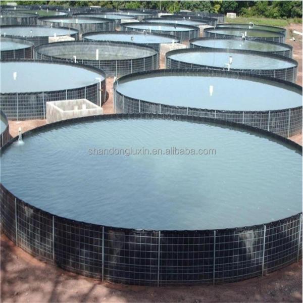 Geomembrane Hdpe 0.5mm 0.75mm 1mm 1.5mm for Agricultural Fish Farm Pond