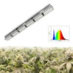 Full Spectrum Greenhouse LED Grow Lights For All Phrases Plant Growth Veg Bloom