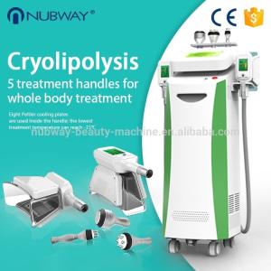 Wholesale 5 handles Coolsculption cryolipolysi fat freezing / slimming cryolipolysis machine from china suppliers