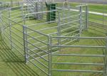 Oval Rail Hot Dip Galvanized Sheep Yard Panels 40*80mm 1.3m Tall Goat Panel 6