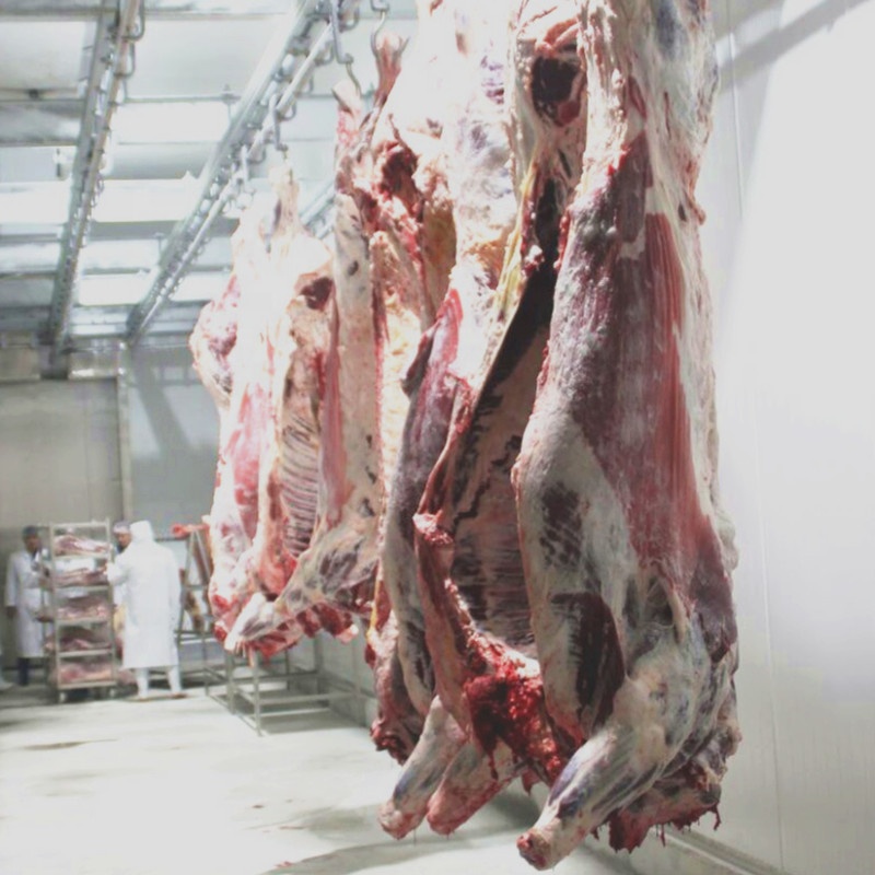 304 Stainless Steel Slaughterhouse Cow Machine 2480*1340*1480mm