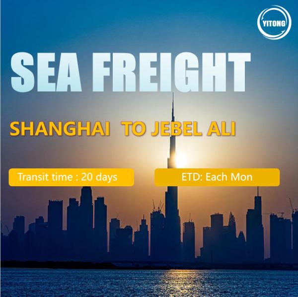 Sea Freight Professional Cheap Container Shipping Agent Service China To