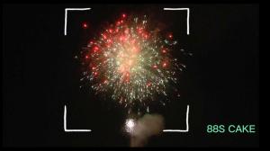 Wholesale Mandarin Customized New Year Fireworks Petard 88 Shots Pyrotechnic Chinese Salute from china suppliers