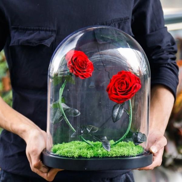 2021 New In Christmas Preserved Rose In Glass Dome Rose With Curving Stem In