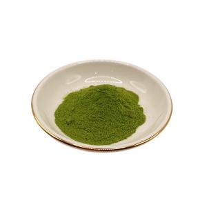 Wholesale Mannitol 1.5% Cytokinin 400 PPM Seaweed Extract PH 8-10 Green Powder for grass from china suppliers