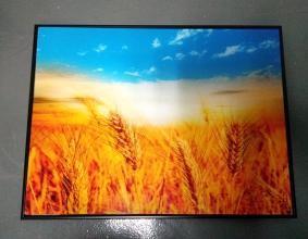 China DIY Large Acrylic Picture Frames , Acrylic Picture Frames Wall Mount Environmental Friendly on sale
