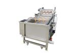 Fresh Mango Brush Roller 500kg/hour Vegetable Washing Machine