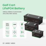 Customizable Electric Golf Trolley Lithium Battery 48volt Environmental Friendly