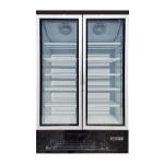 Double Swing Stand Up Glass Door Freezer R290 Refrigerant Ventilated Cooling