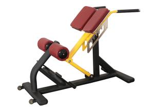 Wholesale Pro Commercial Gym Rack And Fitness Equipment Roman Ab Exercise Chair from china suppliers