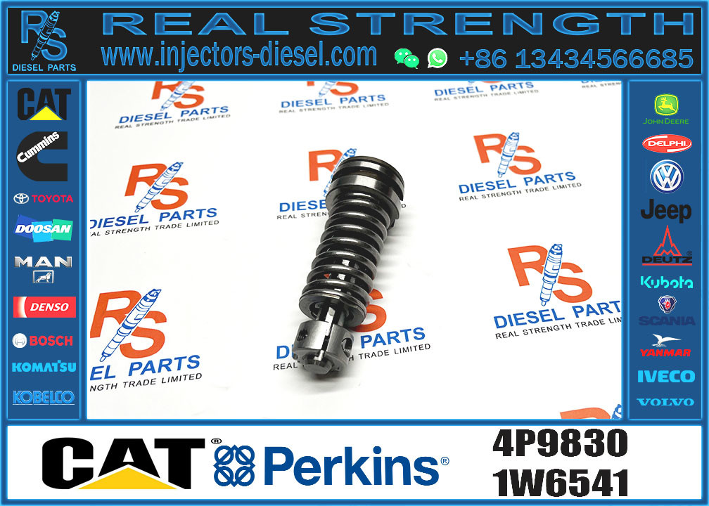 Diesel Fuel Injection Pump Plunger 1w6541 4p9830 9h5797 6n7527 7W5929 9H5797 6N7525