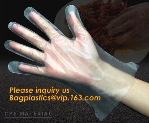Disposable Plastic Polythene PE Gloves Cleaning Prepare Food,STERILE TWO FINGER