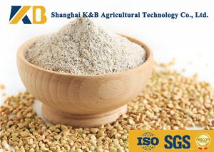 Wholesale Moisture 10% Dried Brown Rice Powder No Foreign Objects Neutral Odor And Flavor from china suppliers