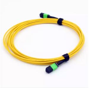 Wholesale MTP Om4 MM 8 / 12 Fiber MPO Fiber Optic Patch Cord SENKO Brand from china suppliers