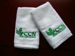 China Factory Professional Customized 100% Cotton Absorbent Embroidery Towel