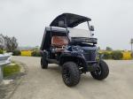 2-Seater Off-Road Cargo Truck With Strong Load-Bearing Capacity Tippable Bucket