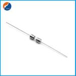 Cartridge 250V Quick Blow Fuse 3.6 X10mm Fuse Fast Acting Electrical Axial Lead