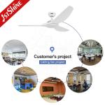 ROHS 52 Inch White Low Noise Large Airflow Ceiling Fan Led Six Speeds Remote