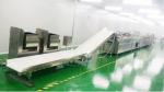 300-600kg/h Automatic Cereal Bar/ Energy Bar Cooling Forming Cutting Machine