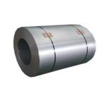 ASTM Standard Cold Rolled Galvanized Steel Coil for Metal Iron Roofing Sheet