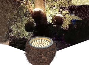 Wholesale LED Simulation Bird'S Nest Lights Tree Shoot Outdoor Spot Light Waterproof Bird Rattan Cage Tree Garden from china suppliers