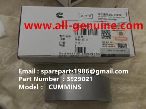 Wholesale 3929021 MAIN BEARING CUMMINS ENGINE TEREX NHL DUMP TRUCK TR35 TR50 TR60 TR100 3305B 3305F 3303 3307 TR45 TR70 MT4400 from china suppliers