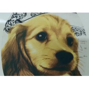 Wholesale 900x1000mm Computer To Screen Exposing Machine Textile 1270dpi from china suppliers