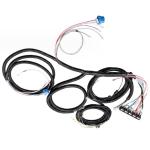 Plastic Electric Vehicle Wire Harness Assembly OEM Voltage 24V