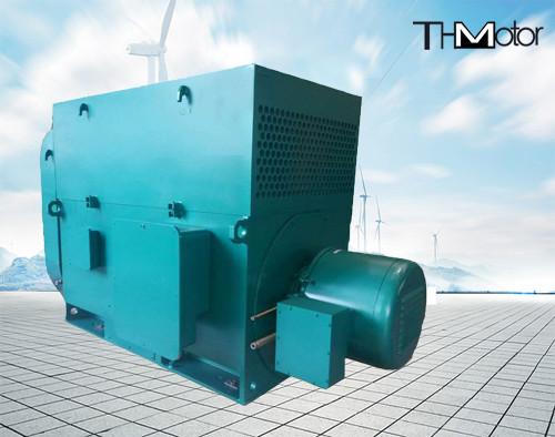Blast Blower AC Asynchronous HV Electric Motor High Voltage Electric Motors10KV