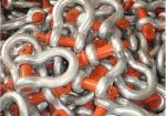 Bow Shackles