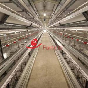 Wholesale Modern H type 5-tier Layer Chicken Cage Type for Commercial Farm from china suppliers