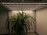 395nm 1060 Pcs Chips Horticulture LED Grow Lights