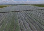 OEM Hail Proof Greenhouse Agricultural Anti Hail Nets For Apple Trees