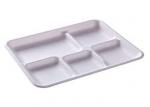 PLA Biodegradable Take Away Food Packaging , Disposable Foam Blister Compartment