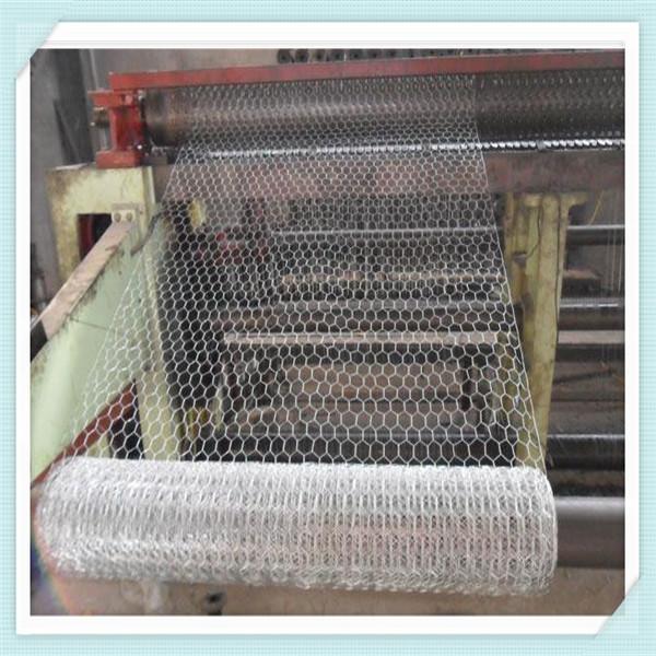 Quality 1/2 3/4 5/8 small hole chicken wire mesh/hexagonal wire mesh/ 1" Hex 24" x 150" 20 Gauge Electric Chicken  fence for sale