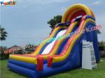 Professional Giant slide with durable PVC tarpaulin Commercial Inflatable Slide